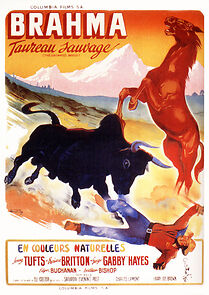 Watch The Untamed Breed