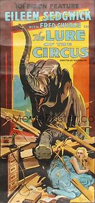 Watch The Lure of the Circus (Short 1917)