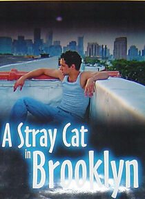 Watch A Stray Cat in Brooklyn