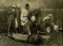 Watch The Arab's Vengeance (Short 1915)