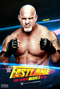 Watch WWE Fastlane (TV Special 2017)