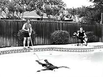 Watch Bob 3:13 (Short 2003)