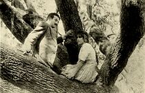 Watch The Girl of the Grove (Short 1912)
