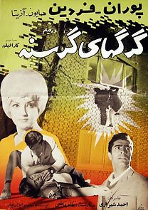 Watch Gorgehaye gorosneh