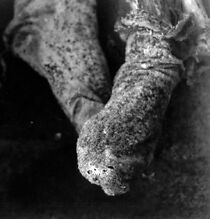 Watch Acerca de la vida (Short 2003)