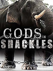 Watch Gods in Shackles