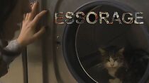 Watch Essorage (Short 2013)