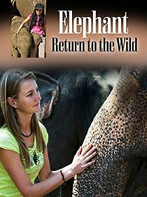 Watch Elephant, Return to the Wild