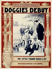 Watch Doggie's Debut (Short 1912)