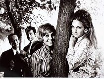 Watch Firtina besler