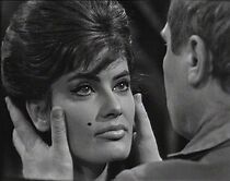 Watch Der grüne Kakadu