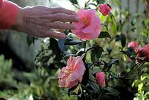 Watch Fumbling Towards Ecstasy (Short 2010)