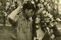 Watch In Blossom Time (Short 1912)