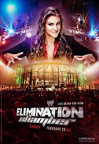 Watch WWE Elimination Chamber (TV Special 2014)