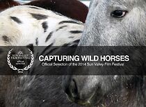 Watch Capturing Wild Horses (Short 2014)