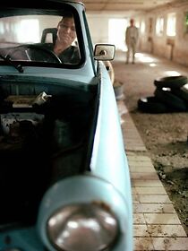 Watch Wenn Schweine sterben (Short 2003)