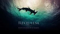 Watch Requiem: entre l'homme et le requin