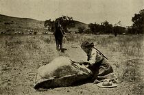 Watch The Blotted Brand (Short 1911)