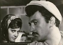 Watch Meydan köpegi