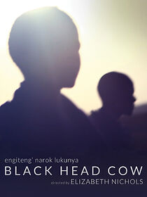 Watch Black Head Cow (Short 2017)