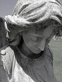 Watch To Live (Short 2003)