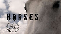 Watch Horses (Short 2009)