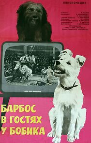 Watch Barbos Visiting Bobik (Short 1965)