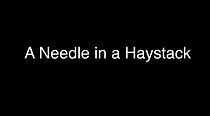 Watch A Needle in a Haystack (Short 2016)