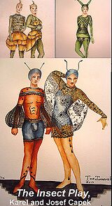 Watch The Insect Play