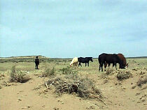 Watch Malus (Short 2004)