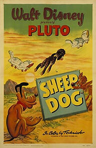 Watch Sheep Dog (Short 1949)