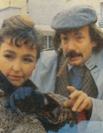 Watch Les timides aventures d'un laveur de carreaux