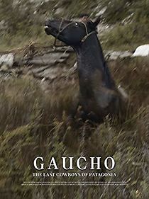 Watch Gaucho: The Last Cowboys of Patagonia