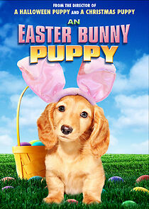 Watch An Easter Bunny Puppy