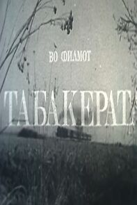 Watch Tabakerata