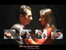 Watch Dil Say Guzar Kay