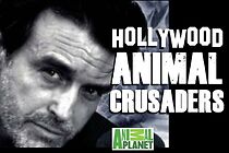 Watch Hollywood Animal Crusaders