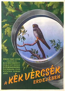 Watch A kék vércsék erdejében