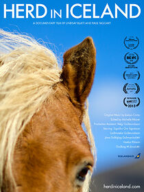 Watch Herd in Iceland (Short 2013)