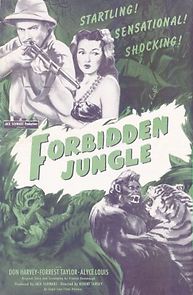 Watch Forbidden Jungle