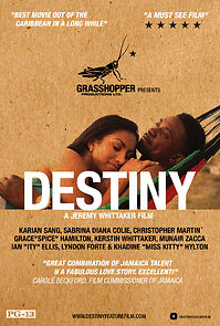 Watch Destiny