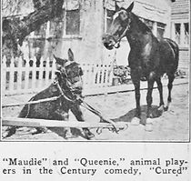 Watch Cured (Short 1922)