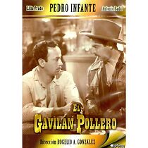 Watch El gavilán pollero