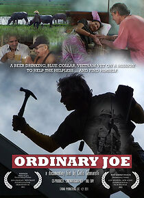 Watch Ordinary Joe