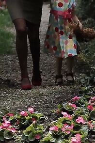 Watch The Giraffe (Short 2014)