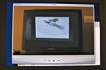 Watch Snail (Short 2007)