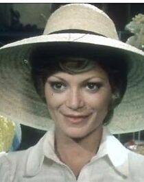 Watch Le soleil de Palicorna