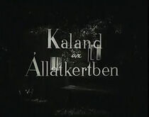 Watch Kaland az Állatkertben (Short 1958)