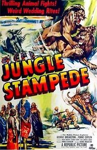 Watch Jungle Stampede