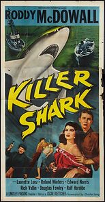 Watch Killer Shark